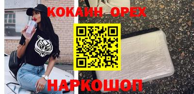 трава Гатчина