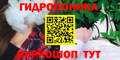 трава Гатчина