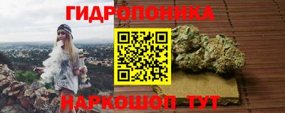 трава Гатчина