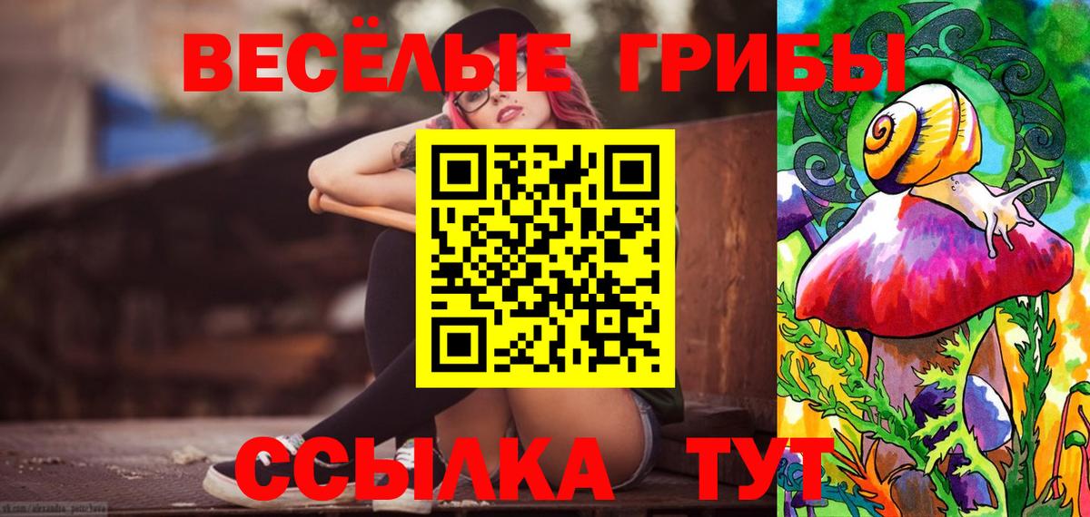 Глазов  Галлюциногенные грибы Cubensis  Вход с VPN 