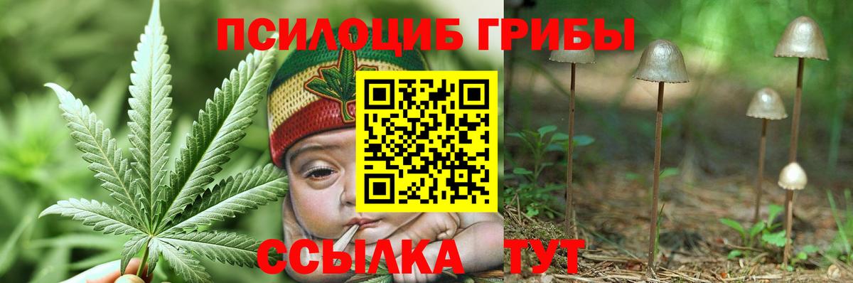 Галлюциногенные грибы GOLDEN TEACHER Глазов
